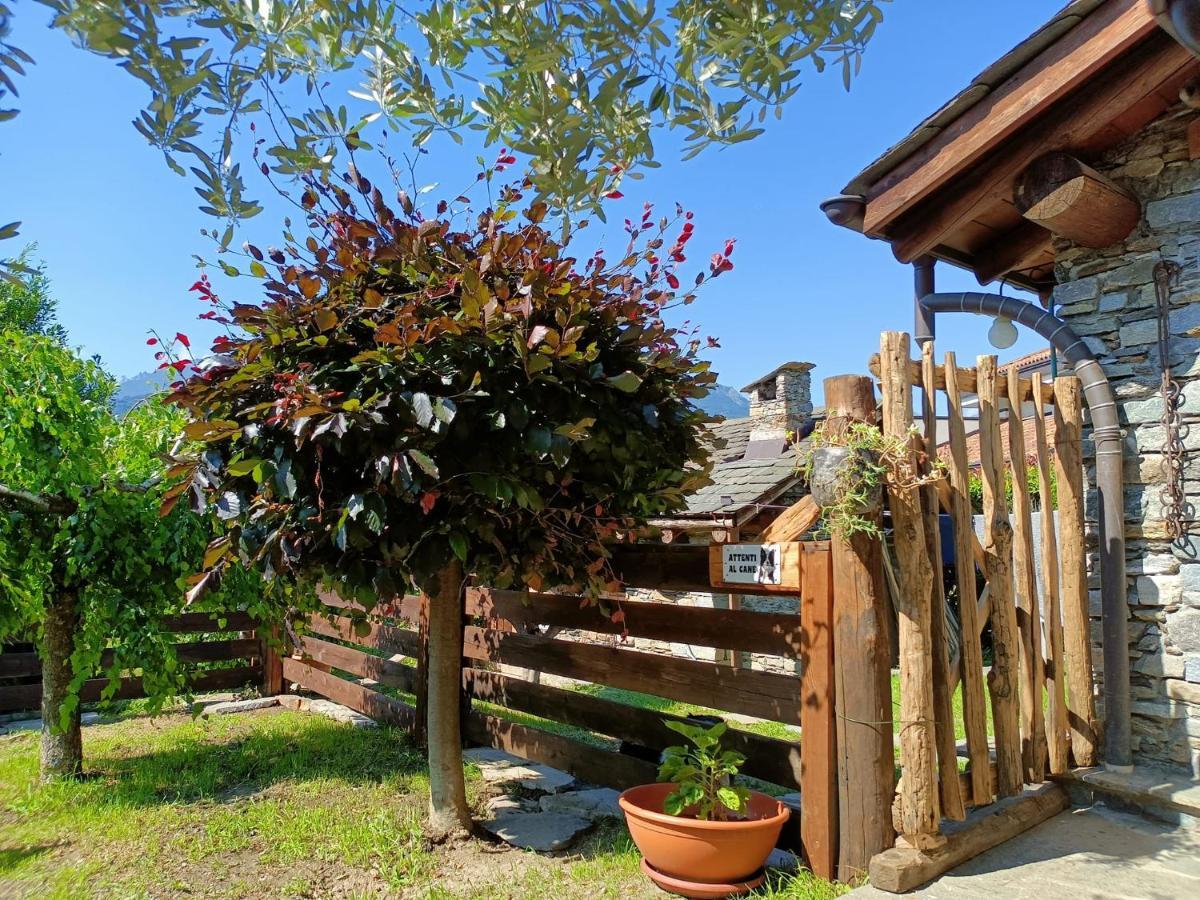 Rosina House E Chalet 科利科 外观 照片